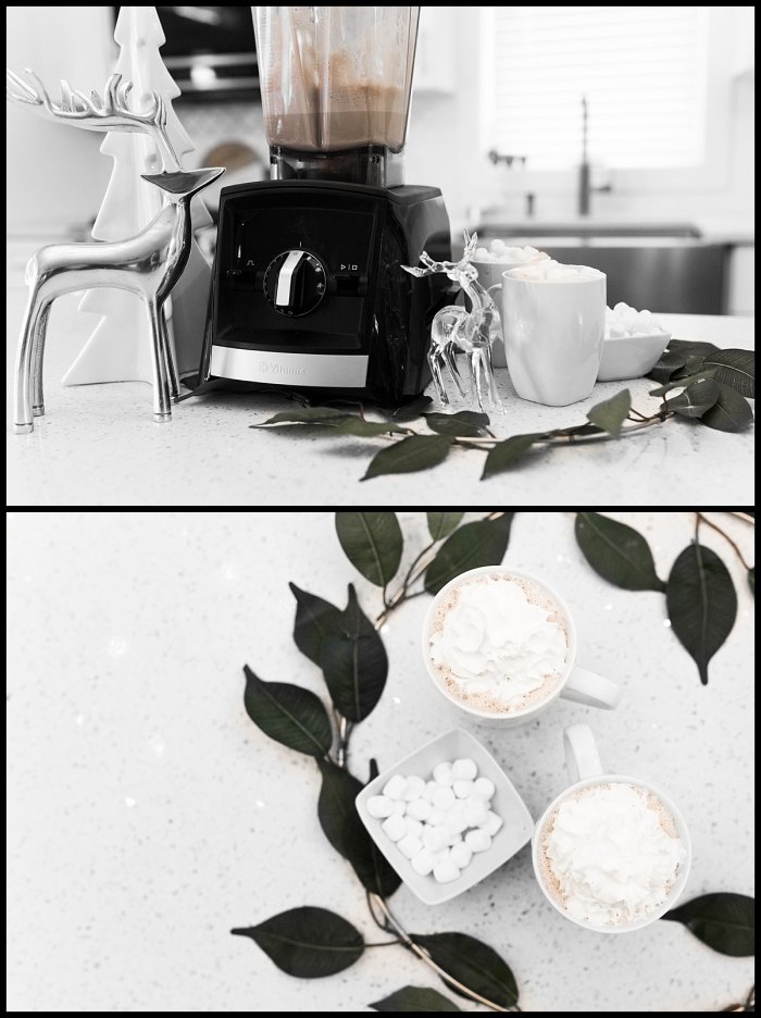 Gourmet Blender Hot Chocolate Jessica Van Gaalen